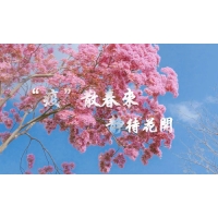 疫散終有時(shí)，春暖花自開-科明致敬每一個(gè)認(rèn)真防疫的東莞人